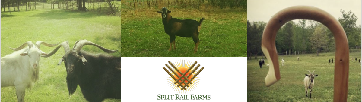 Split Rail Farms header image